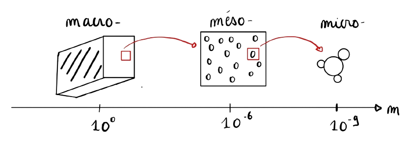 Représentation des différentes échelles